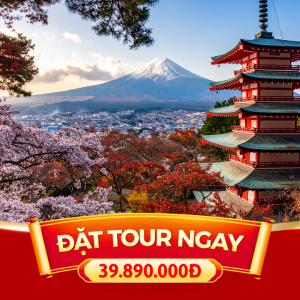 TOUR LỄ 30/4 - 1/5 | 5N5D | TOUR OSAKA - KOBE - KYOTO - NAGOYA - YAMANASHI - TOKYO