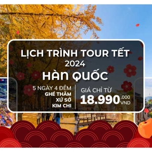 Tour Tết Hàn Quốc 2024: Lịch Trình 5 Ngày Đầy Hấp Dẫn Tại Seoul và Các Điểm Đến Lôi Cuốn