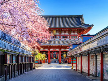 TOUR NGẮM HOA ĐÀO 2026 | SHIZUOKA - YAMANASHI - FUJI - TOKYO 5N4D