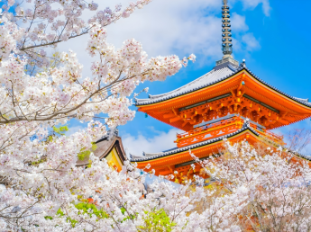 TOUR NGẮM HOA ĐÀO 2026 | CUNG ĐƯỜNG VÀNG: KOBE - OSAKA - KYOTO - YAMANASHI - FUJI - TOKYO 6N5D