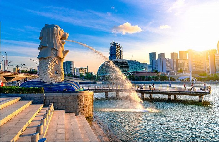 Công viên sư tử biển