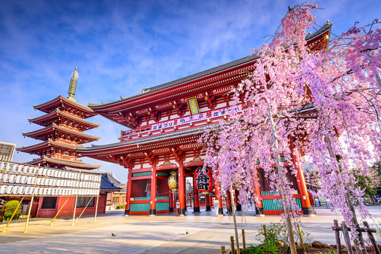 Chùa Asakusa