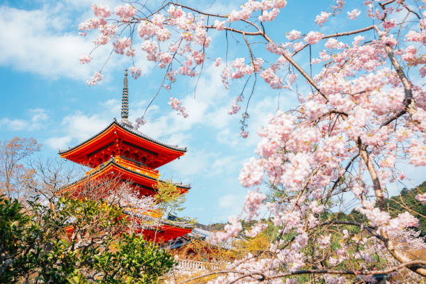 Chùa Thanh Thủy (Kiyomizu)