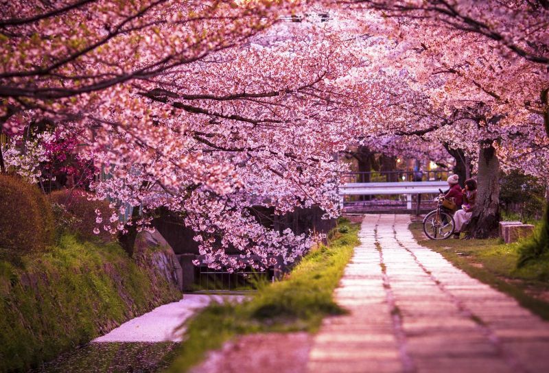 Con đường triết học Kyoto
