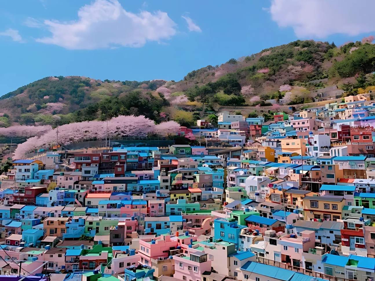 Làng bích họa Gamcheon