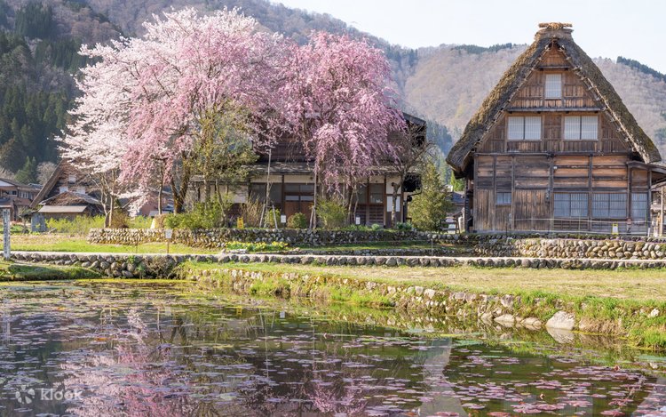 Làng cổ Shirakawago