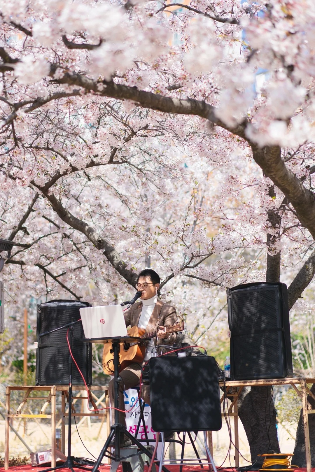 Lễ hội hoa đào Jinhae Gunhangje tại Jinhae