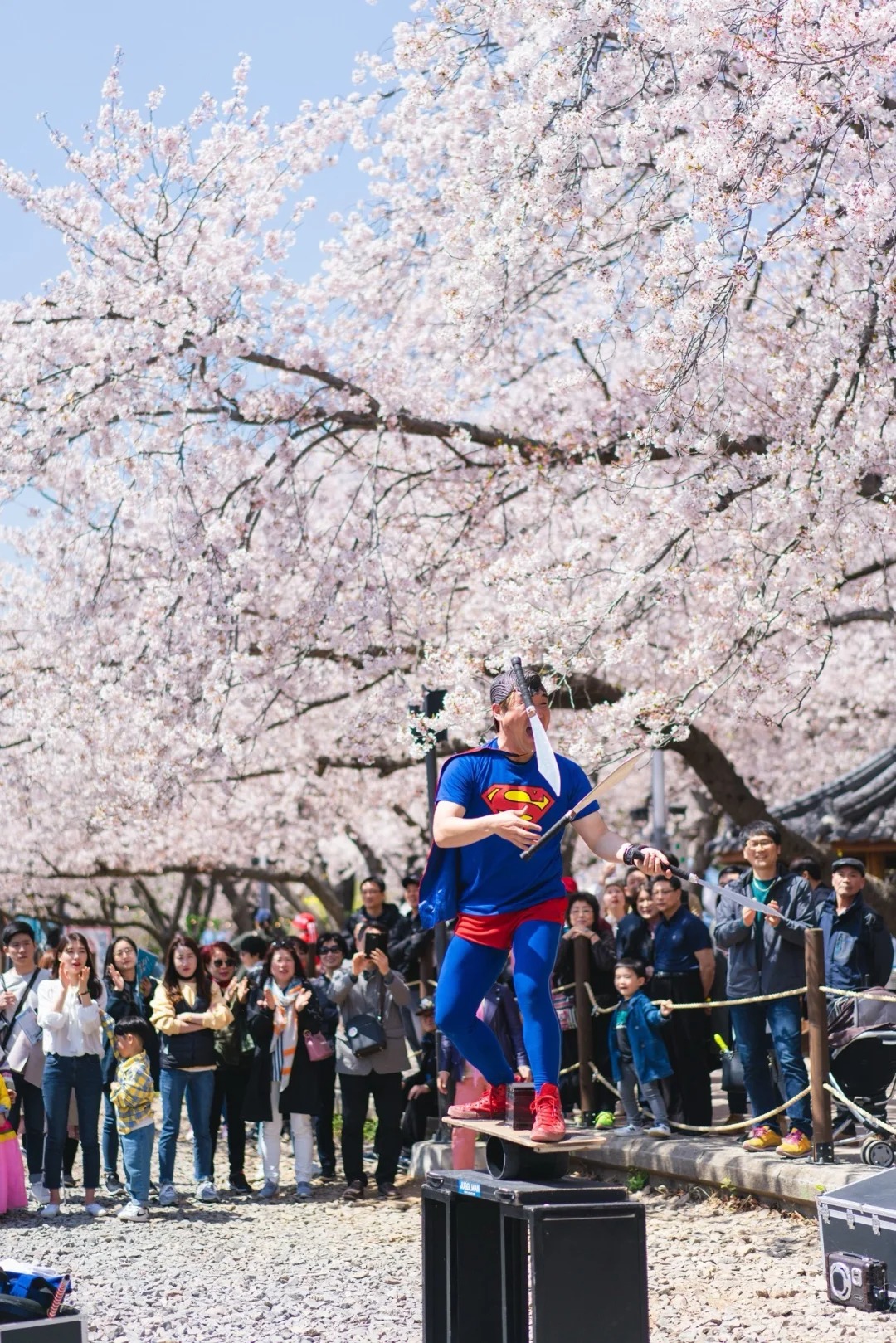 Lễ hội hoa đào Jinhae Gunhangje tại Jinhae