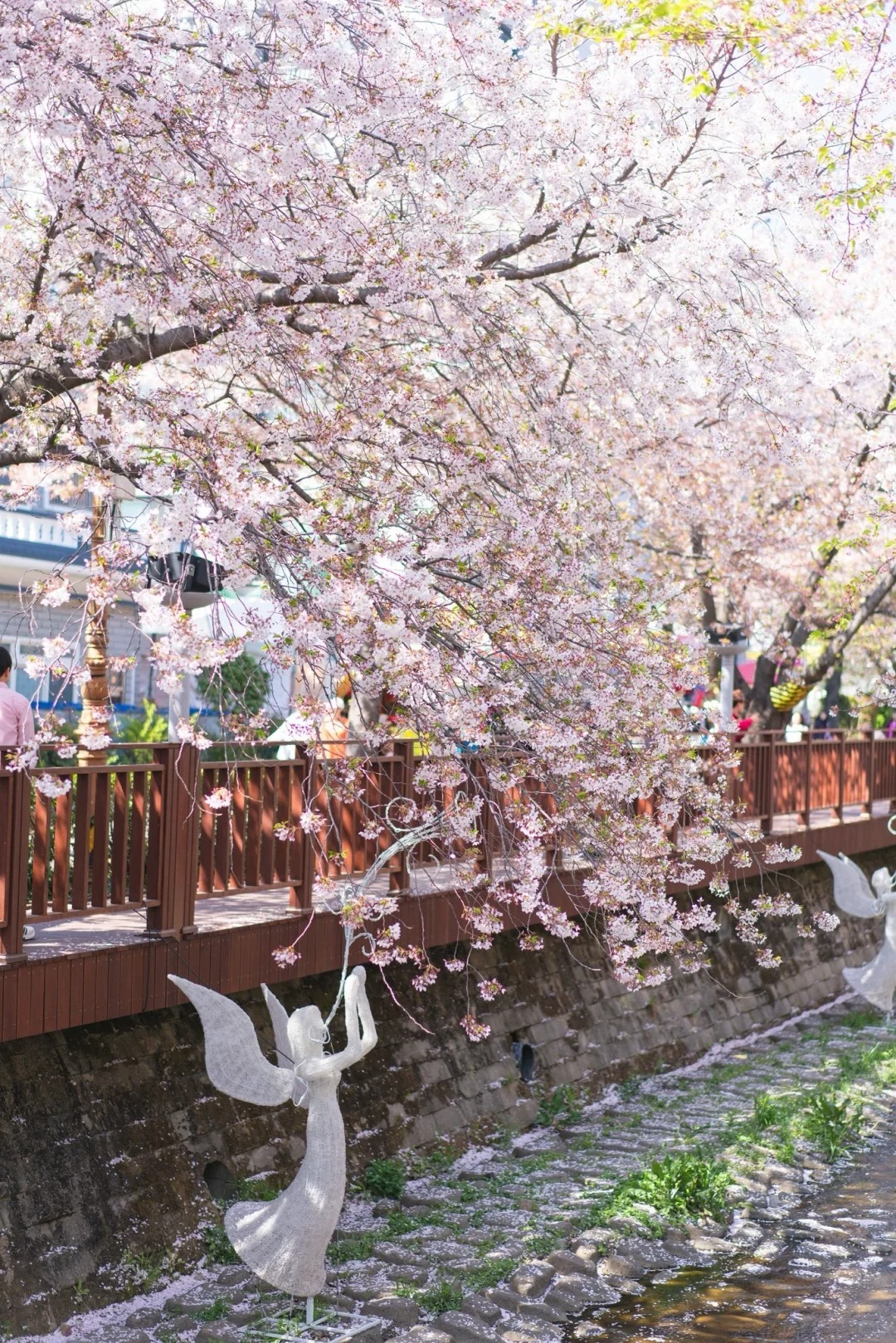 Lễ hội hoa đào Jinhae Gunhangje tại Jinhae