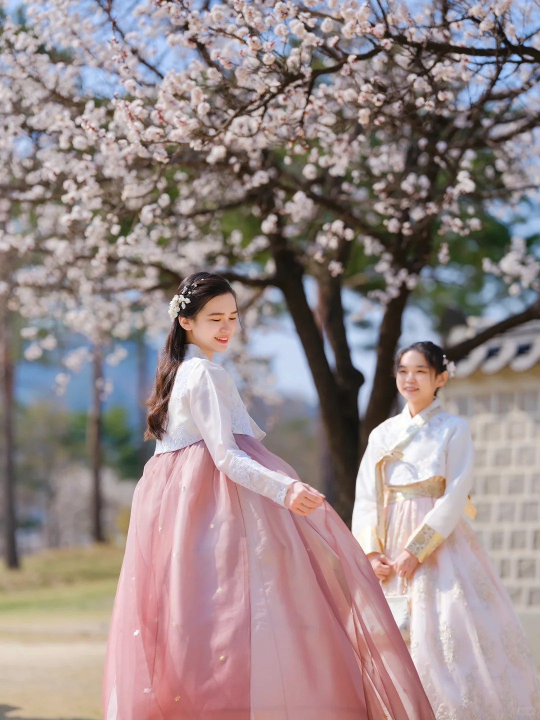 Ngắm hoa đào tại Cung điện Gyeongbokgung