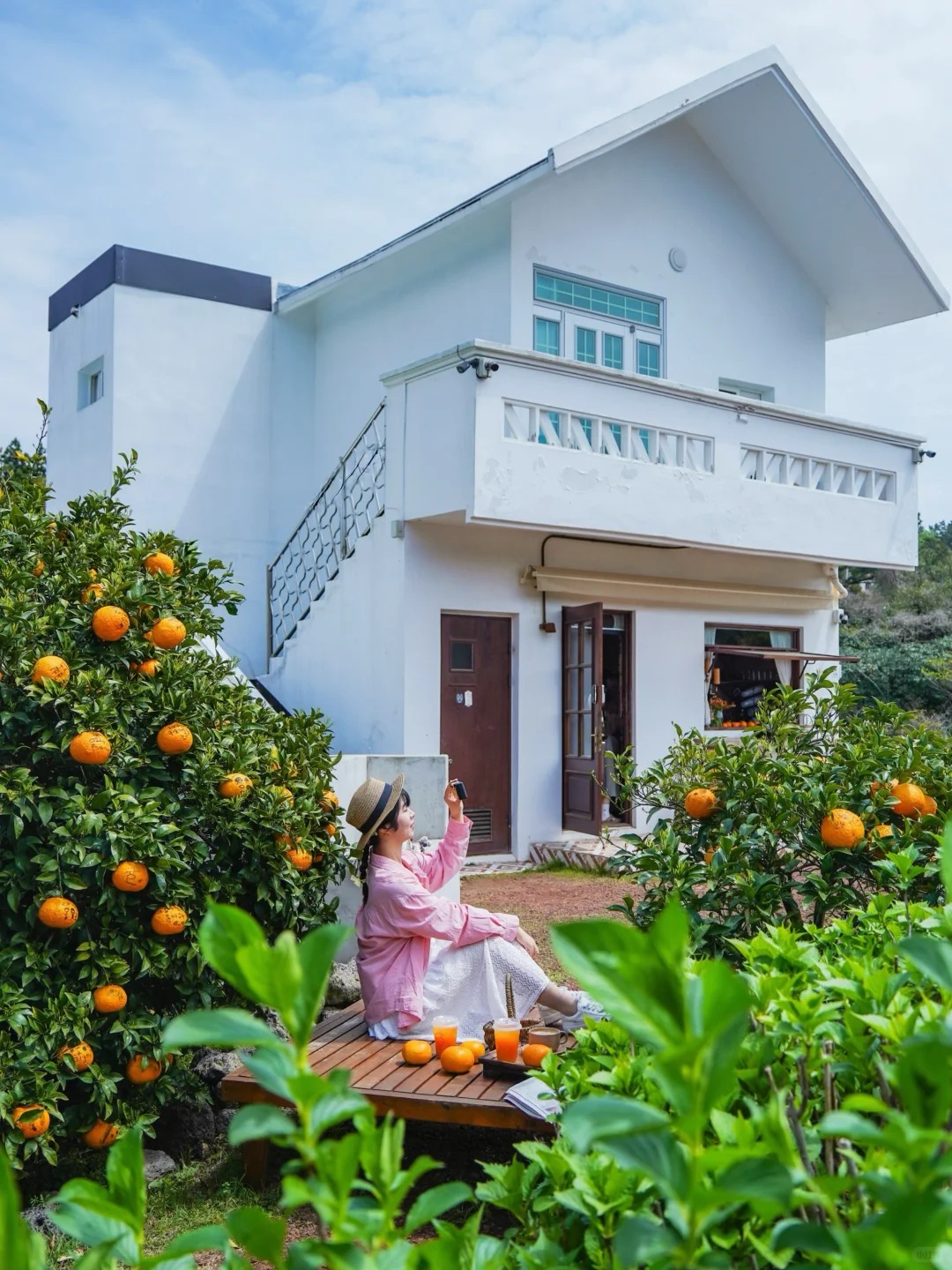 Ngắm hoa đào trên đảo Jeju