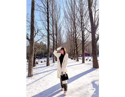 SEOUL - NAMI - EVERLAND 5N5D