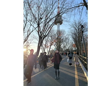 SEOUL - NAMI - EVERLAND 5N5D
