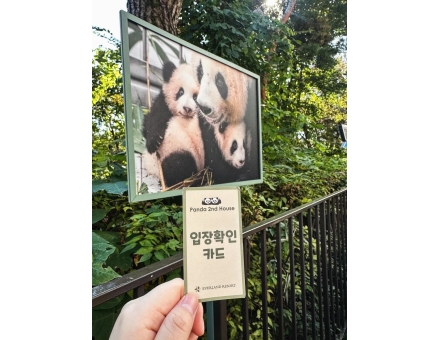 SEOUL - NAMI - EVERLAND 5N5D