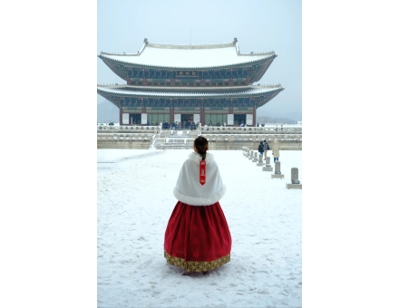 SEOUL - NAMI - EVERLAND 5N5D
