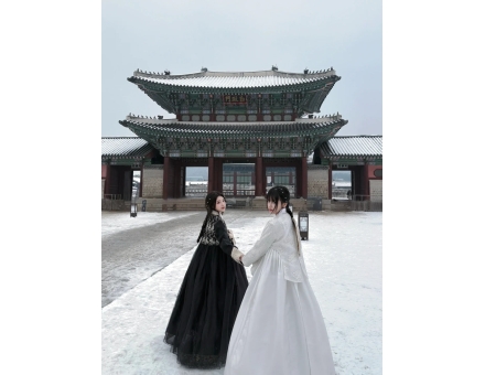 SEOUL - NAMI - EVERLAND 5N5D
